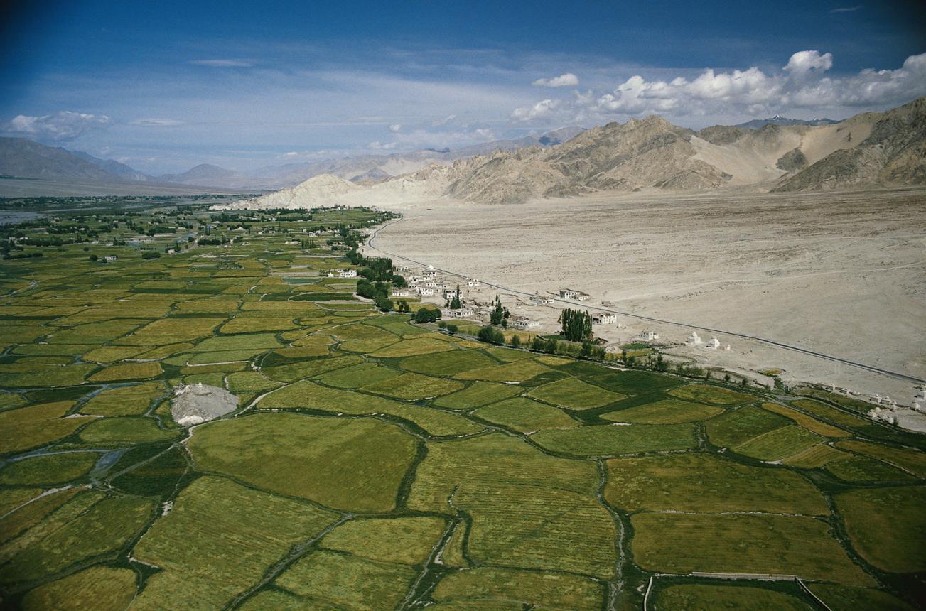 Dunas de arena en el Valle de Nubra